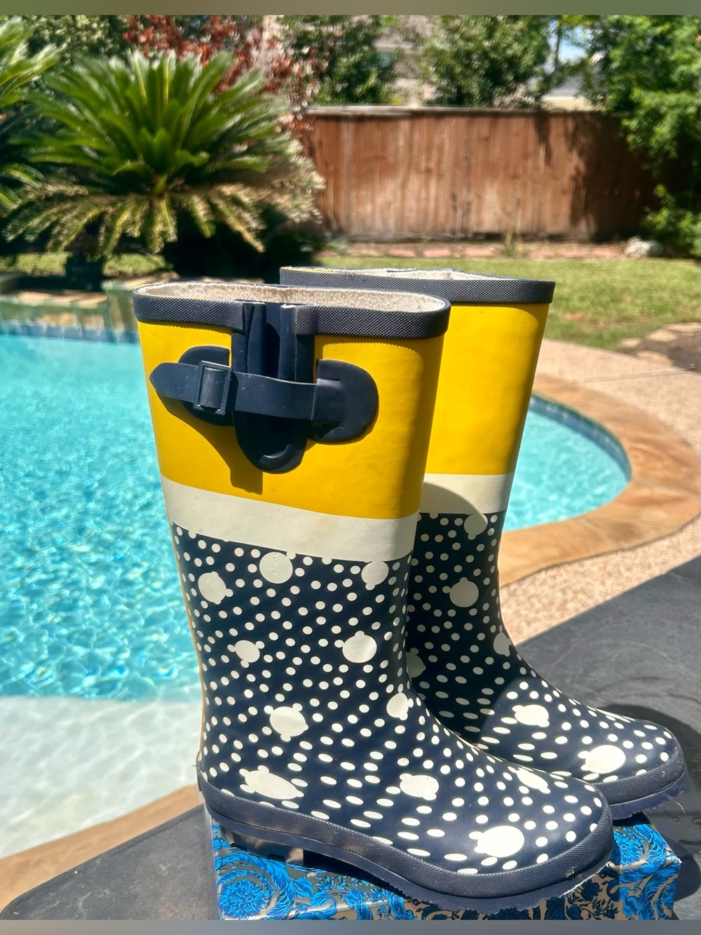 Serra- Navy Dot Rain Boots with Yellow Cuff. Size 8